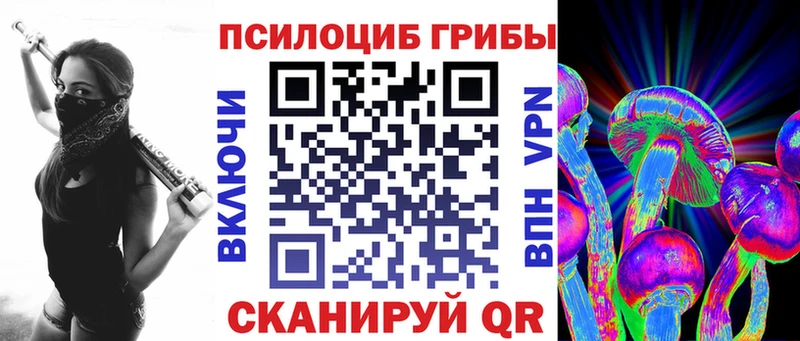 Псилоцибиновые грибы MAGIC MUSHROOMS что такое Чебаркуль