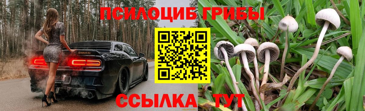 Псилоцибиновые грибы мухоморы  Галлюциногенные грибы GOLDEN TEACHER  наркота  Чебаркуль  Вход с VPN 