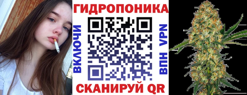 Каннабис гибрид  дарнет шоп  Чебаркуль 